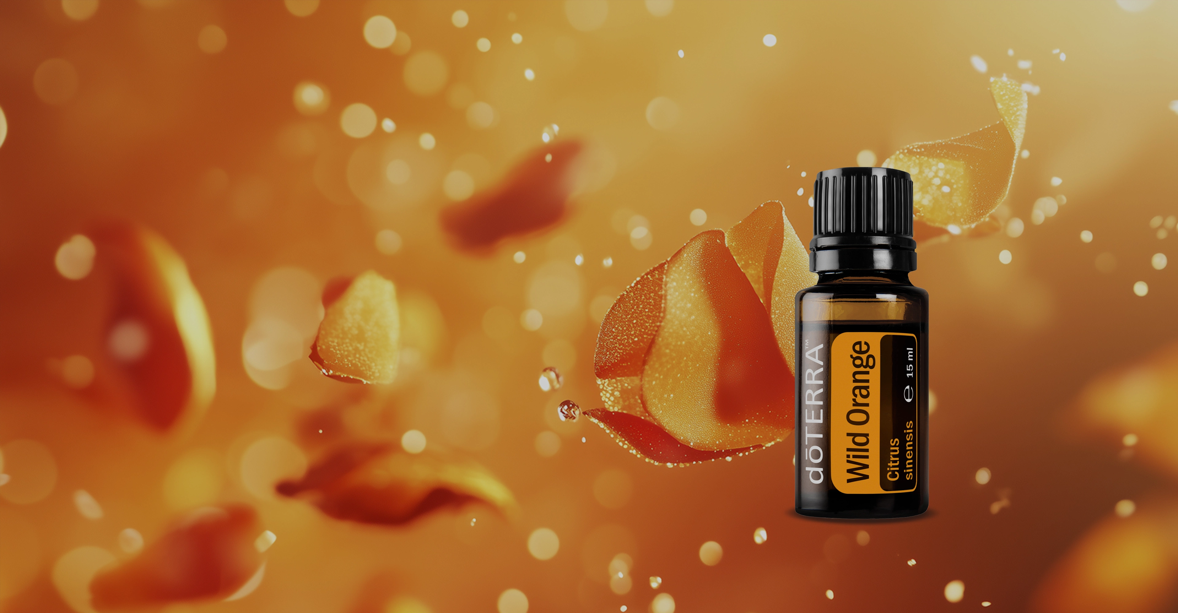 <p>a mindennapokra.</p>
<p><em>&Uacute;j t&ouml;rzsv&aacute;s&aacute;rl&oacute;knak aj&aacute;nd&eacute;k!</em></p>